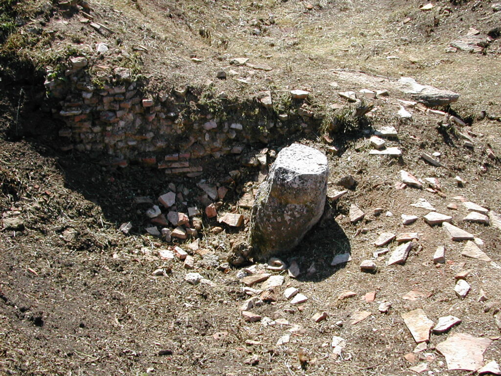 Figure 4 - Column during clearing