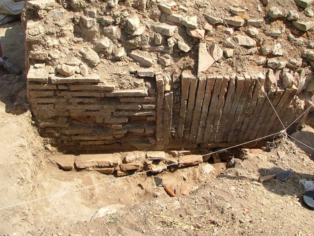 Fig 06 - P6130117