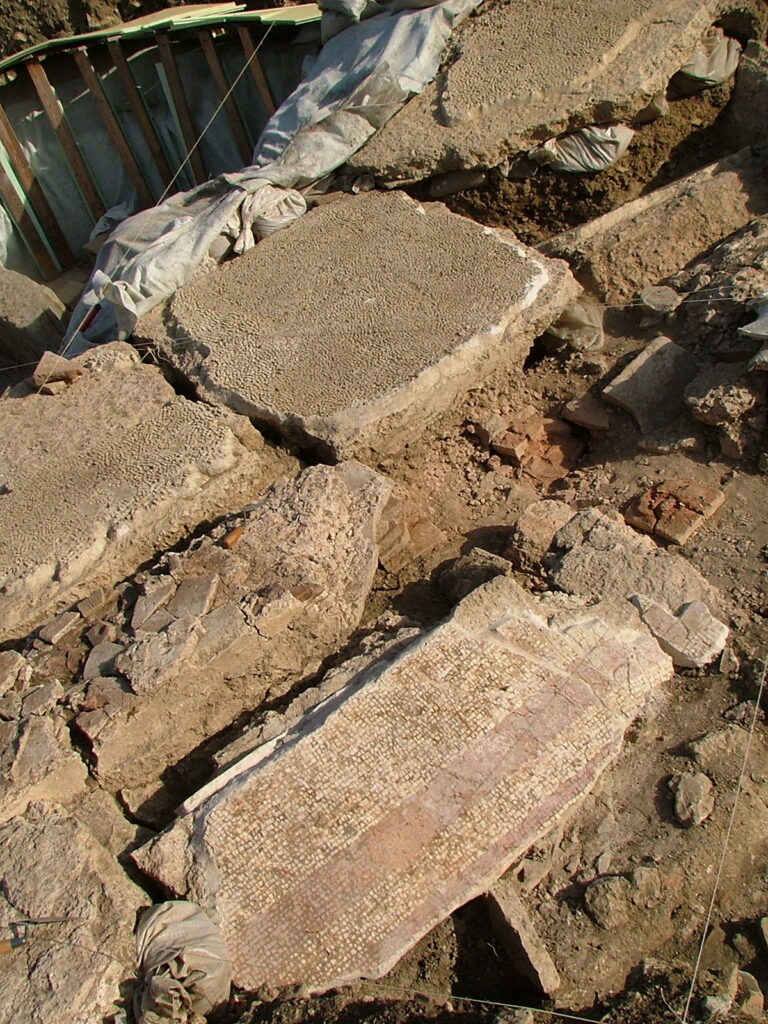 2007 - Fig 07