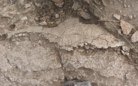 2007 - Fig 17 - SC-1NE