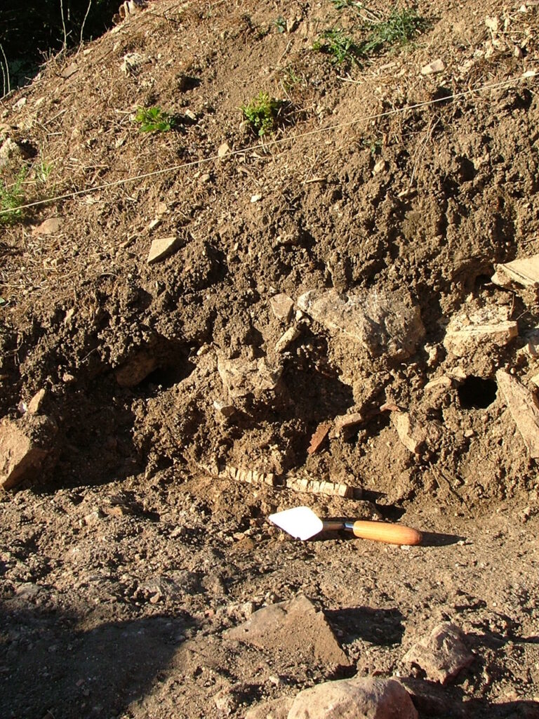 2007 - Fig 40