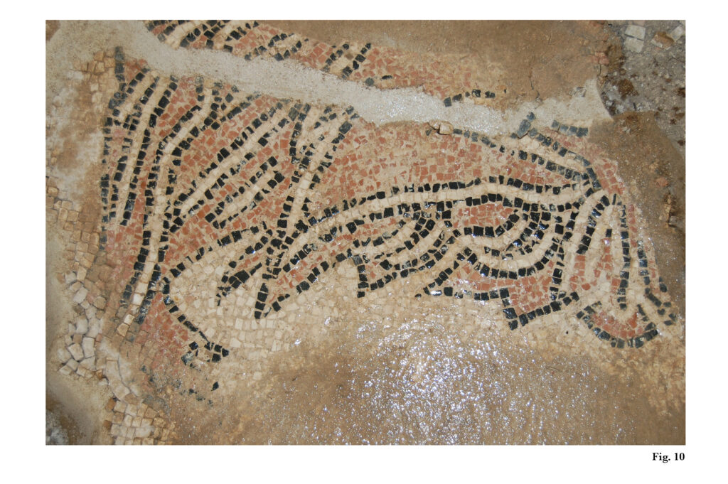 2012 - Fig 10 - Central Mosaic Cleaned