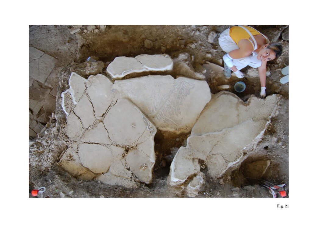 2012 - Fig 21 - Central Mosaic