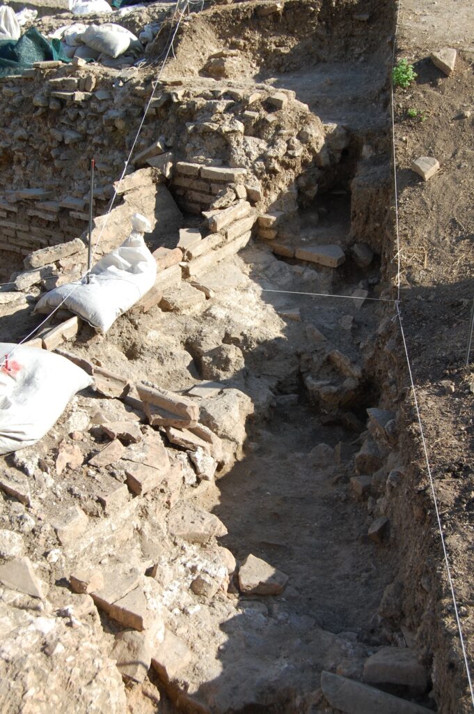 2008 - Fig 19