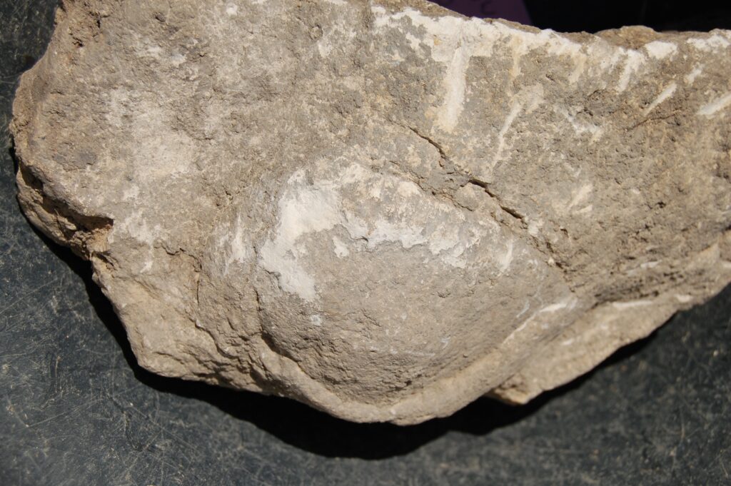 2010 - Fig 14 - Scupture Fragment