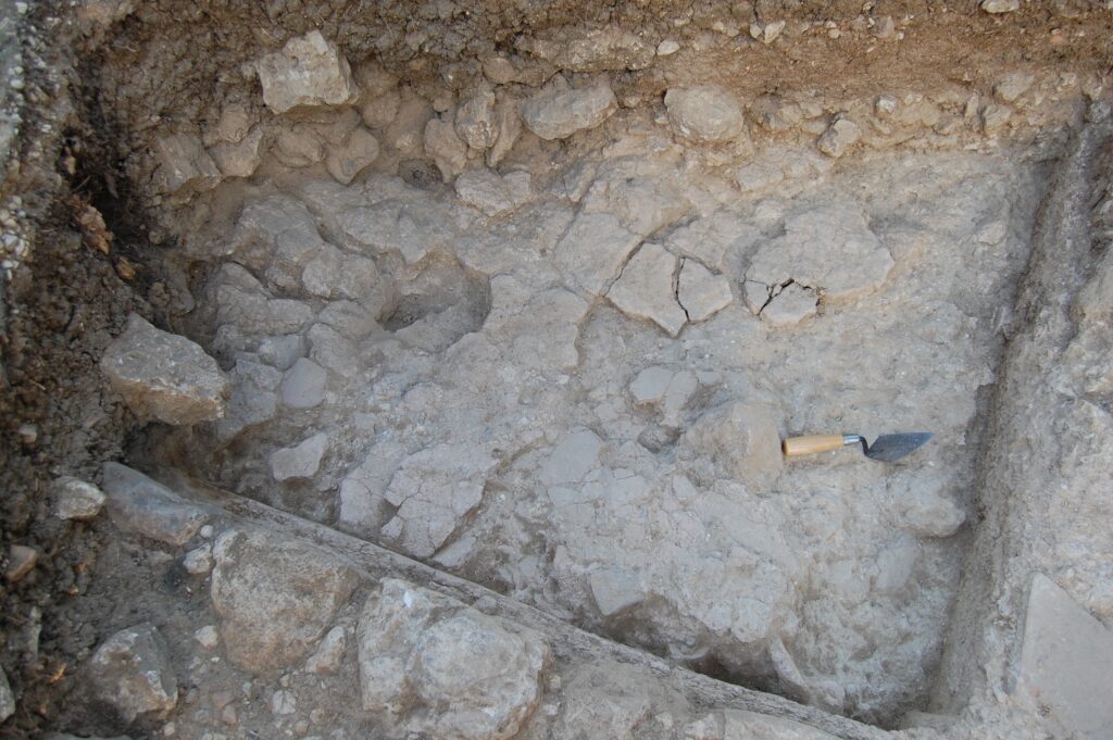 2010 - Fig 47 - Pool